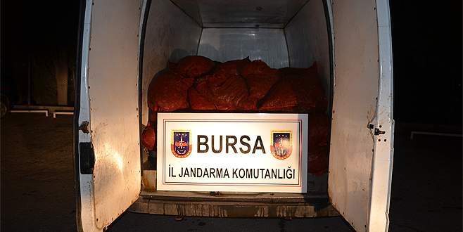Bursa’da yüzlerce kilo kaçak midye ele geçirildi