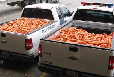 Bu da esrarlı havuç