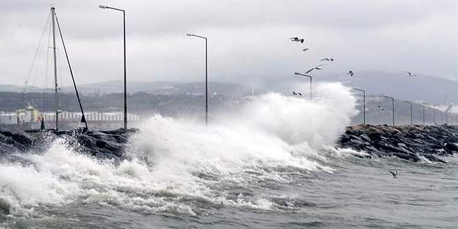 Denizde lodos engeli