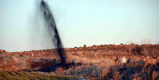 Tarladan petrol fışkırdı!