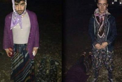 Etekli hainler kıskıvrak