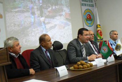 Orhangazi’ de kivinin değeri