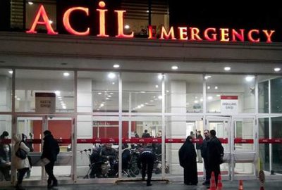 4 ilde domuz gribinden 4 ölüm