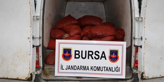 1 ton 200 kilo kaçak midye ele geçirildi