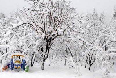 Üreticinin kar sevinci