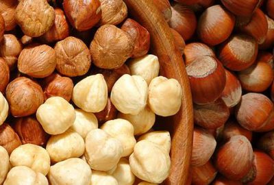 Fındıkta TMO beklentisi