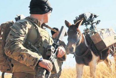 PKK ile mücadelede katırlı timler kurulacak