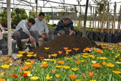 Konyaaltı Belediyesi, Sera Sayısını Artırıyor
