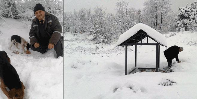 Bursa’da yaban hayvanları unutulmadı