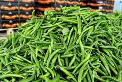 Ocakta zam şampiyonu sivri biber oldu