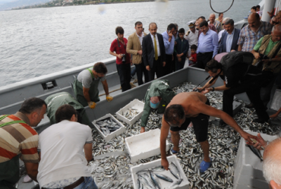 Balıkçılar son 2 aydan umutsuz