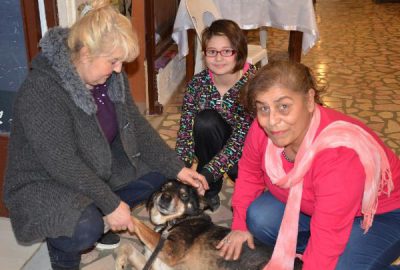 Köpeklerin tedavi için kermes düzenlediler
