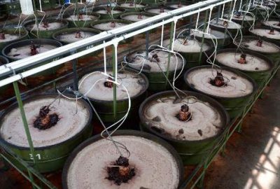 Marmarabirlik saniyede 1160 gram ürün satıyor