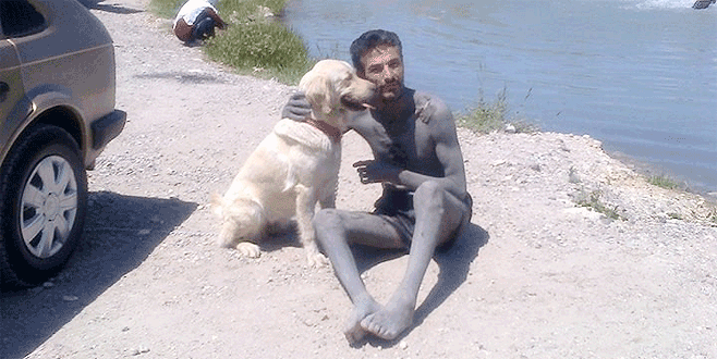 Bursa’da bu köpeği bulana ödül