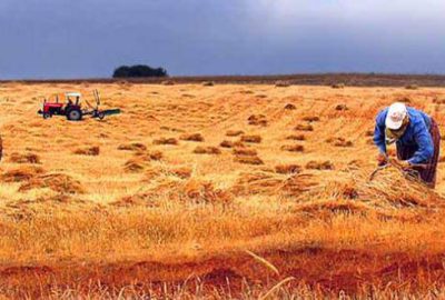 Çiftçi Kayıt Sistemi’nde süre uzuyor