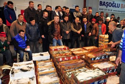 Başkan Tütüncü, Balık Mezadına Katıldı