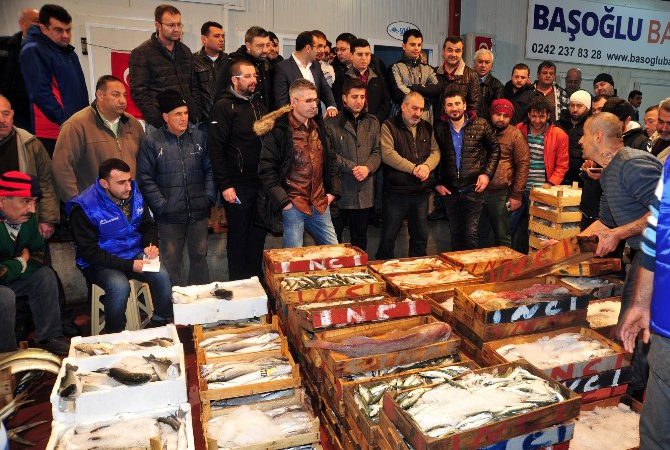 Kepez Belediyesi Başkanı Tütüncü, Antalya Balıkçı Barınağı’nda düzenlenen balık mezadında