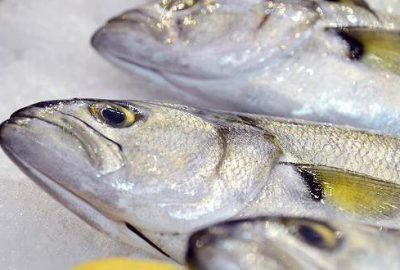 Balık azlığı fiyatları yükseltti