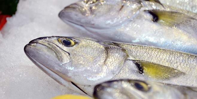 Balık azlığı fiyatları yükseltti