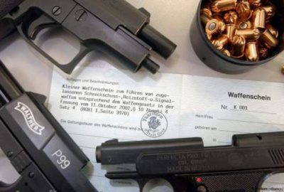 Daha fazla Alman silah istiyor