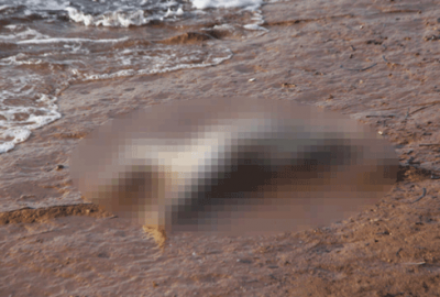 Kafası olmayan çocuk cesedi bulundu