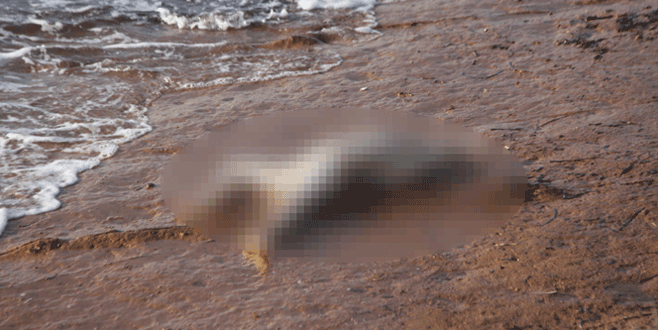 Kafası olmayan çocuk cesedi bulundu