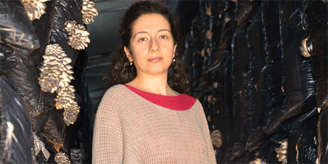 10 liralık fiyatı ile kırmızı ete rakip oldu