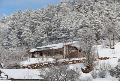Coreker Yaylasında Kış Başka Güzel