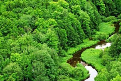 255 bin ailenin beklediği açıklama geldi