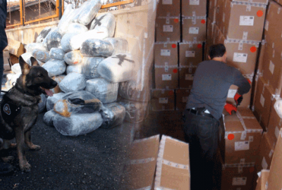 TIR kasasında 1 ton esrar ele geçirildi