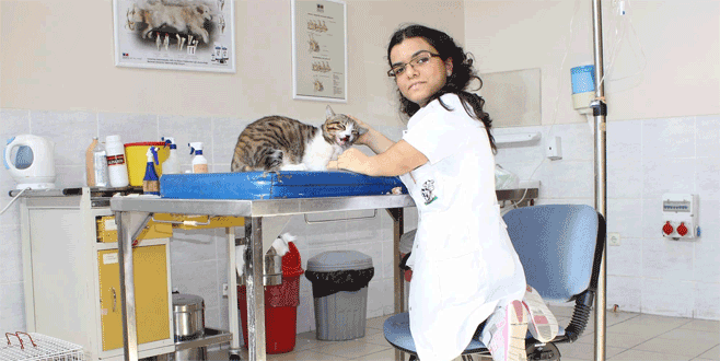 Her türlü zorluğu aştı, kanunu aşamadı