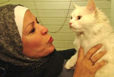 Sığınmacı kedinin Norveç’e inanılmaz kaçışı