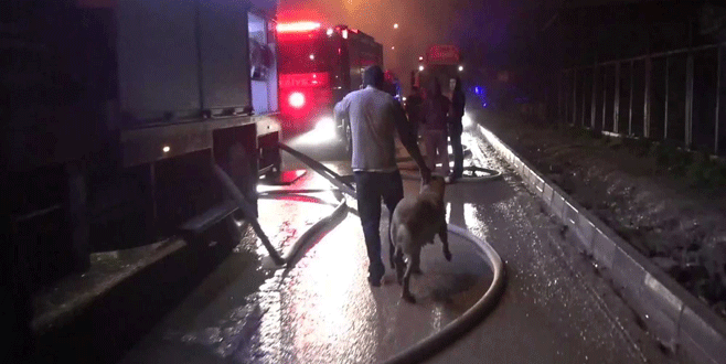 Bursa’da korku dolu anlar!