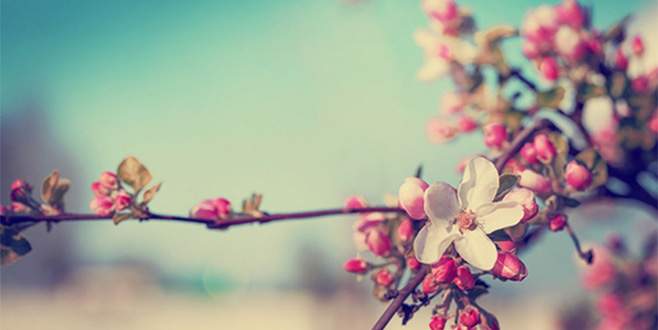 İlk cemre havaya düştü; peki cemre düşmesi nedir?