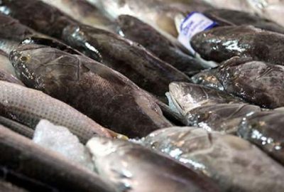 Tüketici çiftlik balığına yöneldi