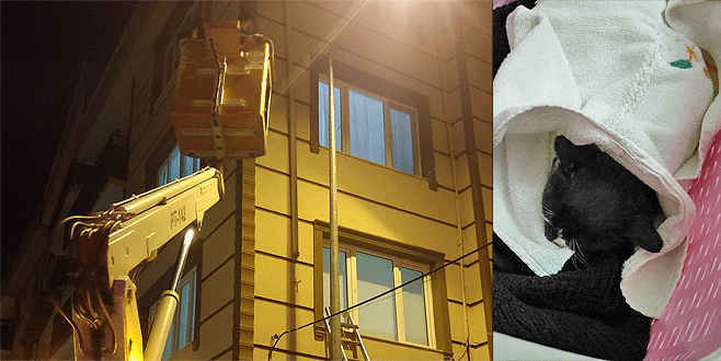 Bursa’da yavru kedi için seferberlik