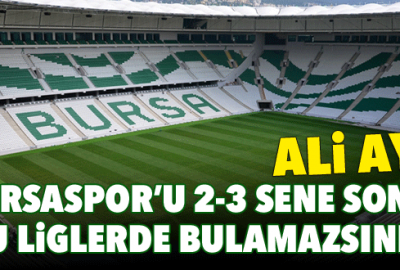 ‘Bursaspor’u 2-3 sene sonra bu liglerde bulamazsınız’