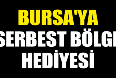 Bursa’ya serbest bölge hediyesi