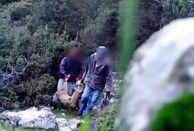 Fotokapana yakalanan avcılara 20 bin lira ceza