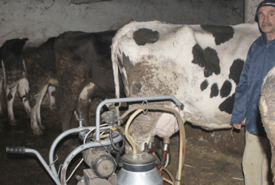 Süt üreticisi destek istedi