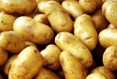 Zam şampiyonu şimdi maliyetine satılıyor