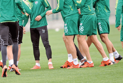 Timsah tavan yaptı!