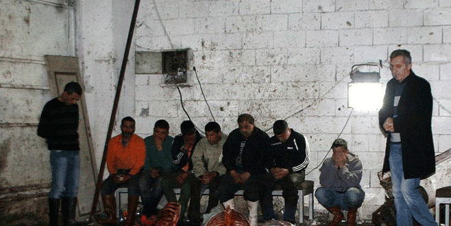 Kaçak at kesim yerine baskın!