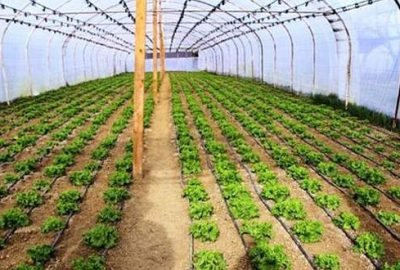 Hassas tarım için ‘gıda teknokenti’ kuruluyor