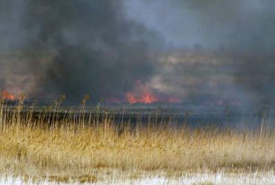 Göksu Deltası’ndaki yangın söndü