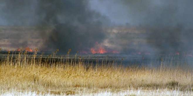 Göksu Deltası’ndaki yangın söndü