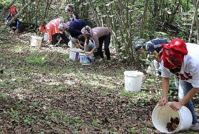 Tarım işçisinin günlük ücreti yüzde 8,9 arttı