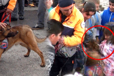 İlgiden bunalan arama-kurtarma köpeği kız öğrenciye saldırdı