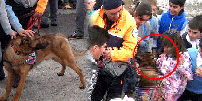 İlgiden bunalan arama-kurtarma köpeği kız öğrenciye saldırdı