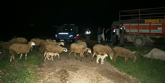 Bursa’da çalıp, İstanbul’da satmaya çalıştılar